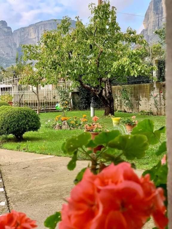 Meteora View Garden Lejlighed Kalambaka Eksteriør billede